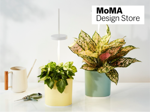 MoMa Design Store