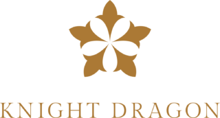 Developer - Knight Dragon - Logo Image