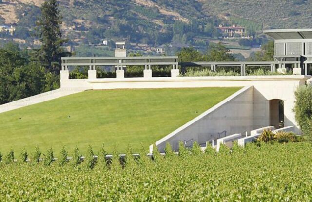 News - US & Emerging Market Report - Part Two: Produces - Wine Investment Report on 25/11/2019